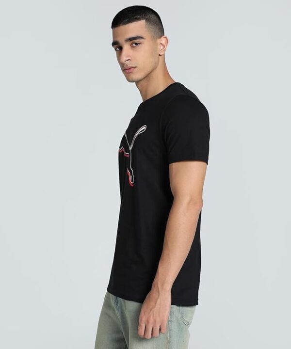 Puma - Image 2