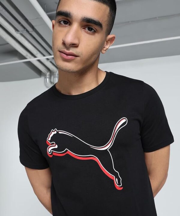 Puma - Image 3